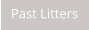 Past Litters
